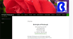 Desktop Screenshot of birthrightpittsburgh.org